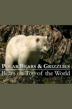 Постер: Polar Bears & Grizzlies: Bears on Top of the World