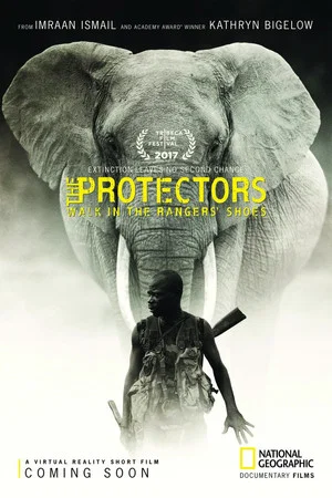 Постер: The Protectors