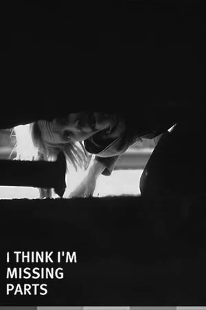 Постер: I Think I'm Missing Parts