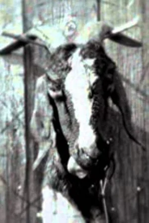 Постер: Slipknot: Goat