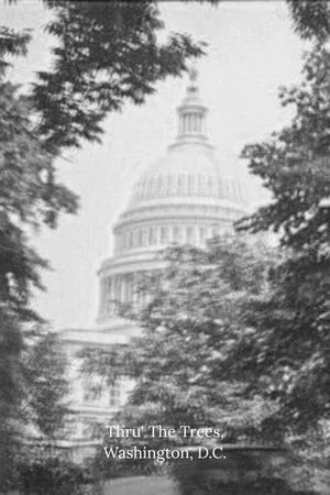 Постер: Thru' The Trees, Washington, D.C.