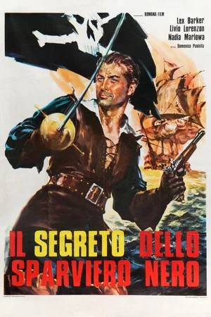 Постер: The Secret of the Black Falcon