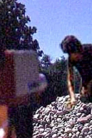 Постер: Rock Garden