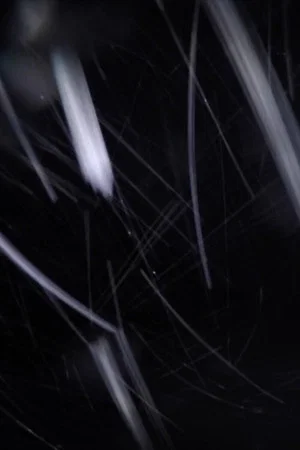 Постер: Inside the Microtubule
