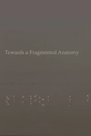 Постер: Towards a Fragmented Anatomy