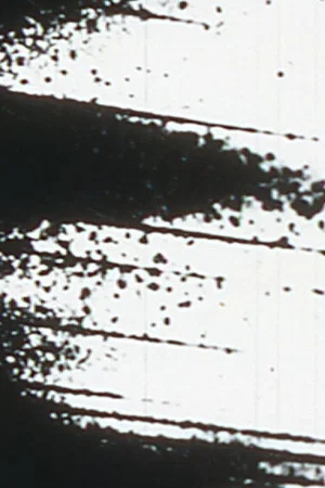 Постер: Starlings
