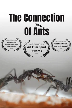 Постер: The Connection of Ants
