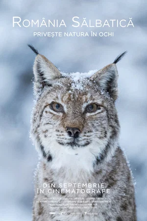 Постер: Wild Romania