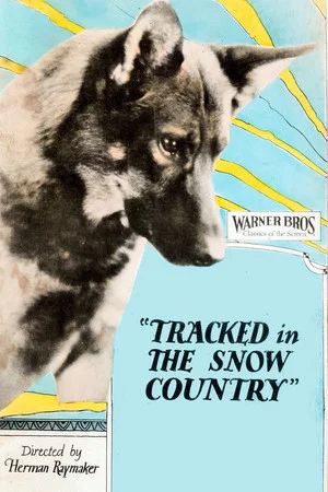 Постер: Tracked in the Snow Country