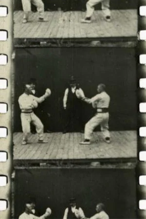 Постер: A French Boxing Contest