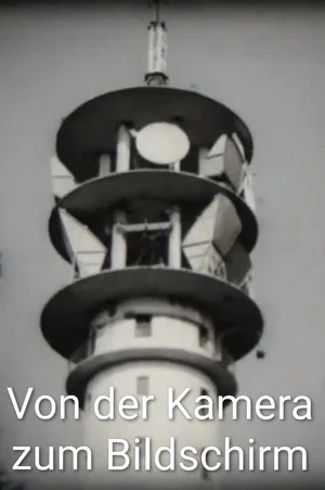 Постер: From camera to screen