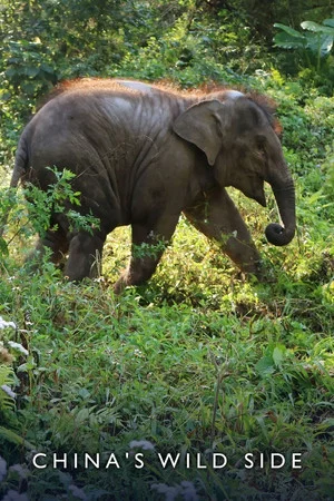 Постер: China's Wild Side