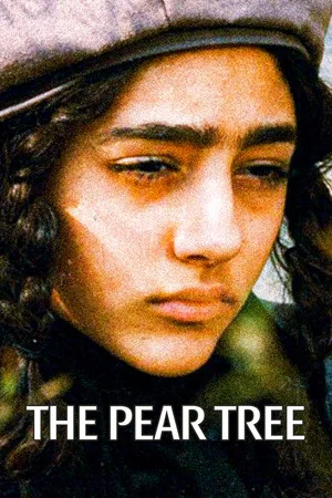 Постер: The Pear Tree