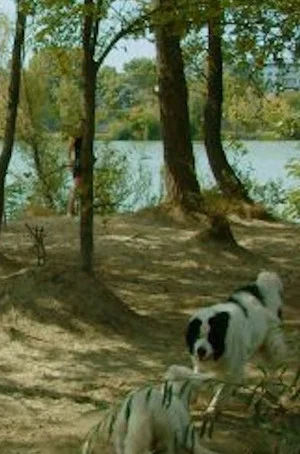 Постер: Hundestrand Nord