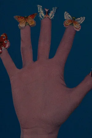 Постер: Some Butterflies