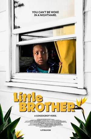 Постер: Little Brother