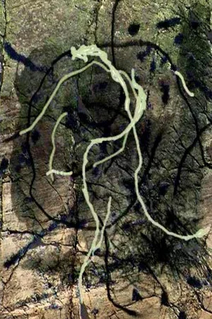 Постер: Thunder River