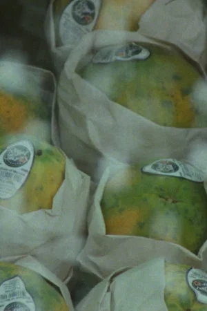 Постер: Global Fruit