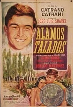 Постер: Álamos talados