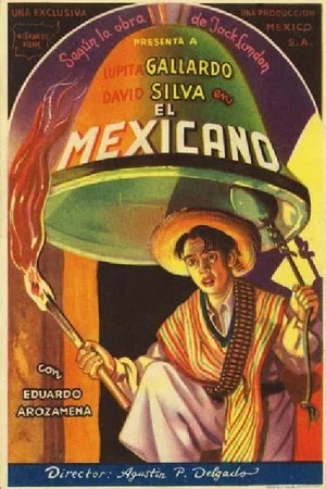Постер: The Mexican