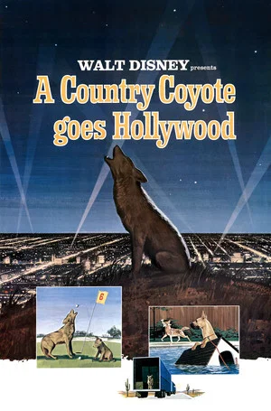 Постер: A Country Coyote Goes Hollywood