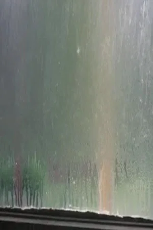 Постер: Fogged Windows