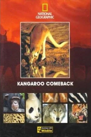Постер: Kangaroo Comeback
