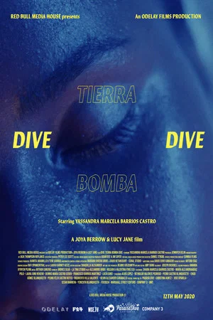 Постер: Dive Tierra Bomba Dive