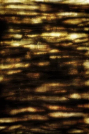 Постер: DIVINING