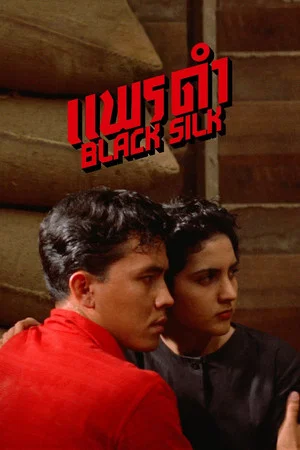 Постер: Black Silk