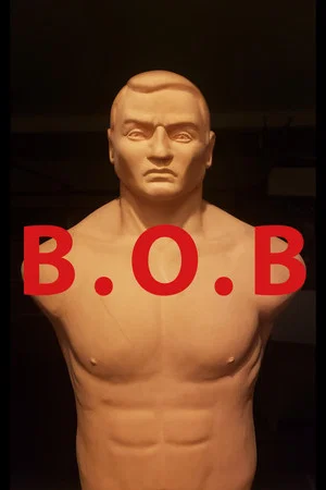 Постер: B. O. B.
