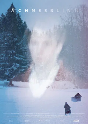 Постер: Snowblind