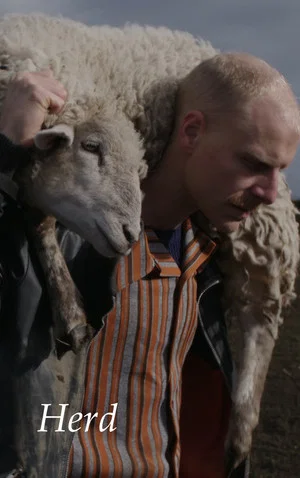 Постер: Herd