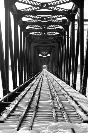 Постер: Gephyrophobia