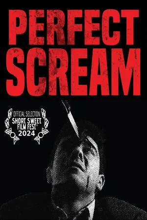 Постер: Perfect Scream