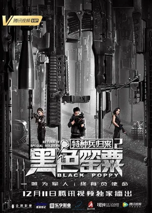 Постер: Special Forces Return 2