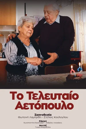 Постер: The Last Partisan
