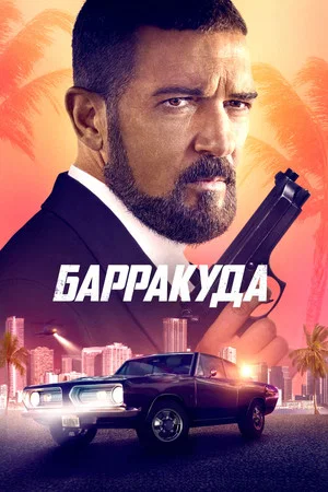 Постер: Барракуда