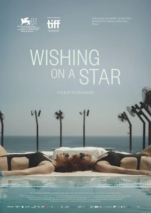 Постер: Wishing on a Star