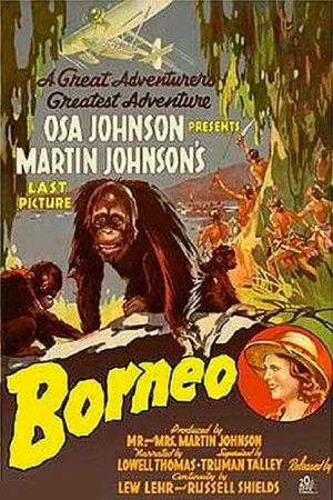 Постер: Borneo