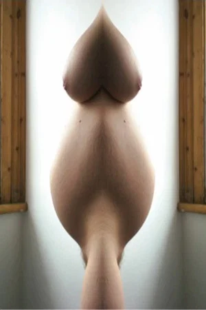 Постер: Pregnant Pussy Mash Up