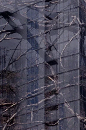 Постер: The City is a Heat Island & our Forests are on Fire
