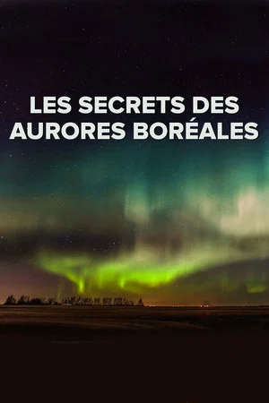 Постер: The Wonder of the Northern Lights
