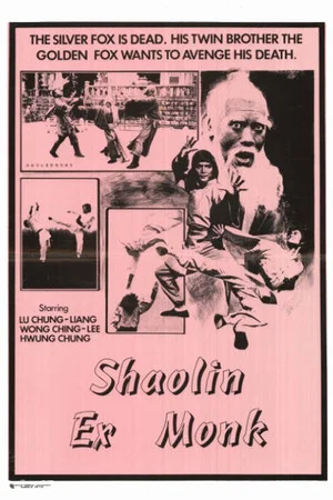 Постер: Shaolin Ex-Monk