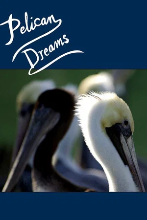 Постер: Pelican Dreams