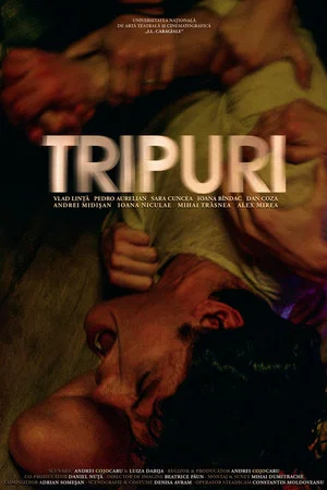 Постер: Trippin
