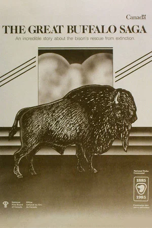 Постер: The Great Buffalo Saga