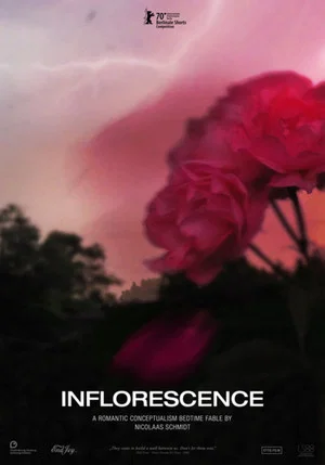 Постер: Inflorescence