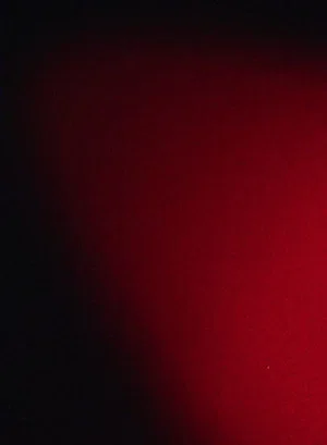 Постер: Red Sketch (1997c)