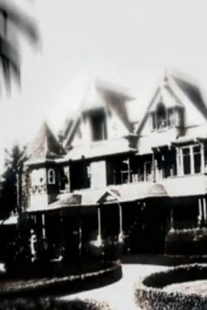 Постер: Winchester